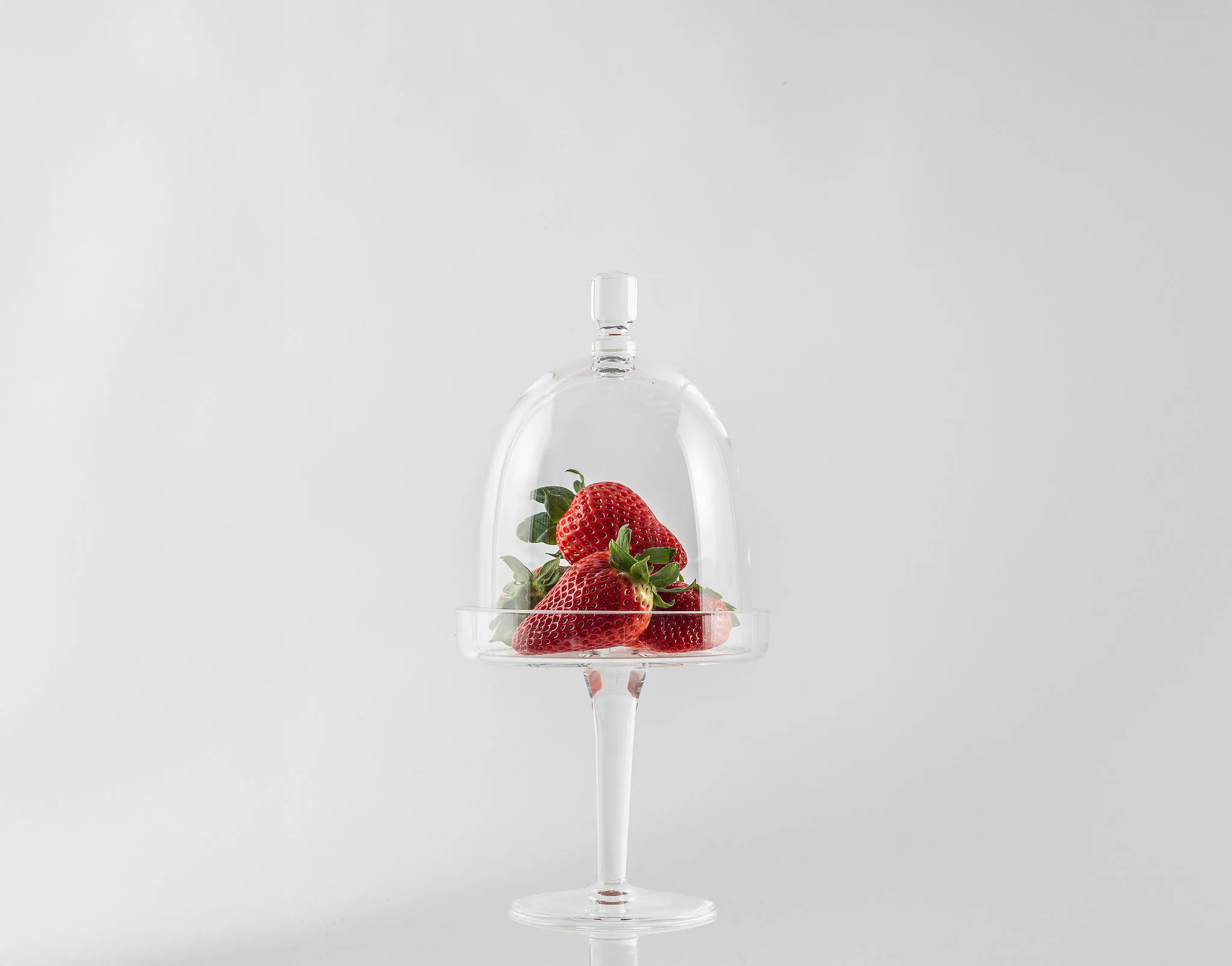 Glass cloche from the Finer Living collection